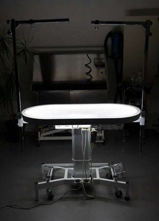 Groom-X Compact Oval elektrischer Trimmtisch mit Licht
