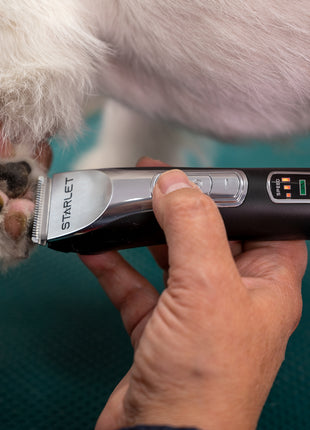 Show Tech Starlet Trimmer | Schermaschine für Pfoten, Füße und Ohren