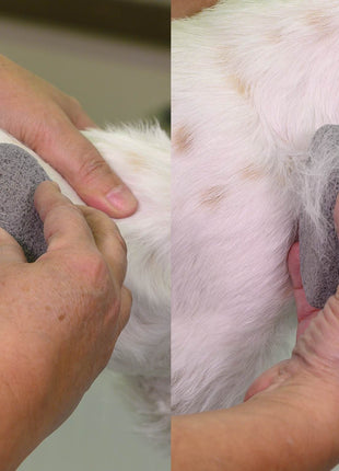 Show Tech Groom Stone Oval | 8,5x4,9x2cm | Trimmstein