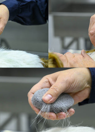 Show Tech Groom Stone Oval | 8,5x4,9x2cm | Trimmstein
