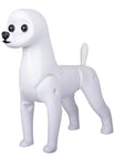 Bichon