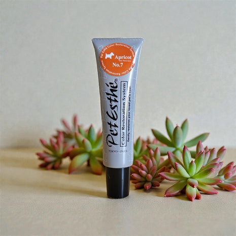Color Restoration System Nr.7 | 140g | exclusives Set zur Farbwiederherstellung