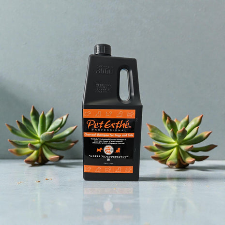 Professional Charcoal Shampoo | exklusives Holzkohle Shampoo für Hunde und Katzen