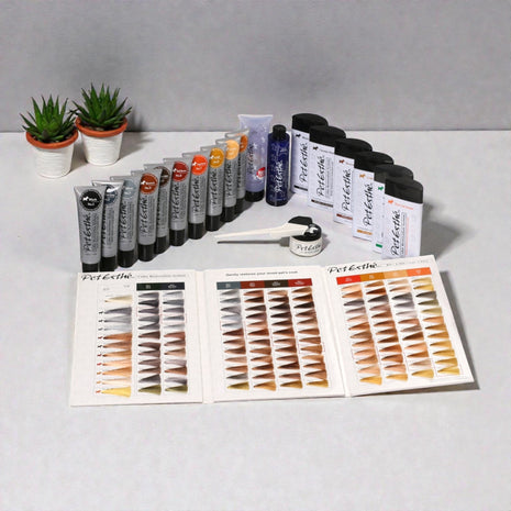 Color Restoration Initial, Introductory Set | exclusives Set zur Farbwiederherstellung