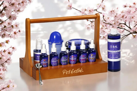 Aromatherapy System Initial, Introductory Set | exclusives Aromatherapie-Set