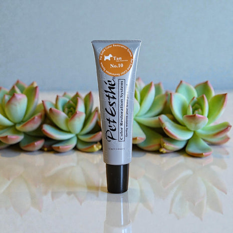 Color Restoration System Nr.10 | 140g | exclusives Set zur Farbwiederherstellung