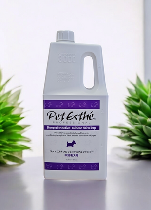 Professional Shampoo | exklusives Shampoo für Hunde mit kurzen und mittellangen Haaren