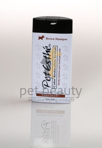 Color Restoration System Brown Shampoo | 400ml | exclusives Shampoo zur Farbwiederherstellung