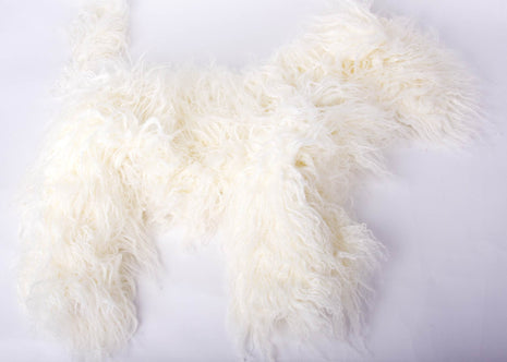 Starzclub Fell für Modellhund Bichon | weiß