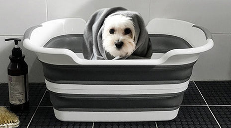 Faltbare Hundebadewanne mit Abfluss | grau-weiß