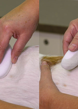 Show Tech Groom Stone Oval | 8,5x4,9x2cm | Trimmstein