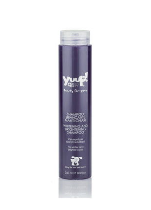 Shampoo für helles Haar | 250ml | Yuup!-Home