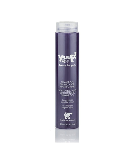 Shampoo für helles Haar | 250ml | Yuup!-Home